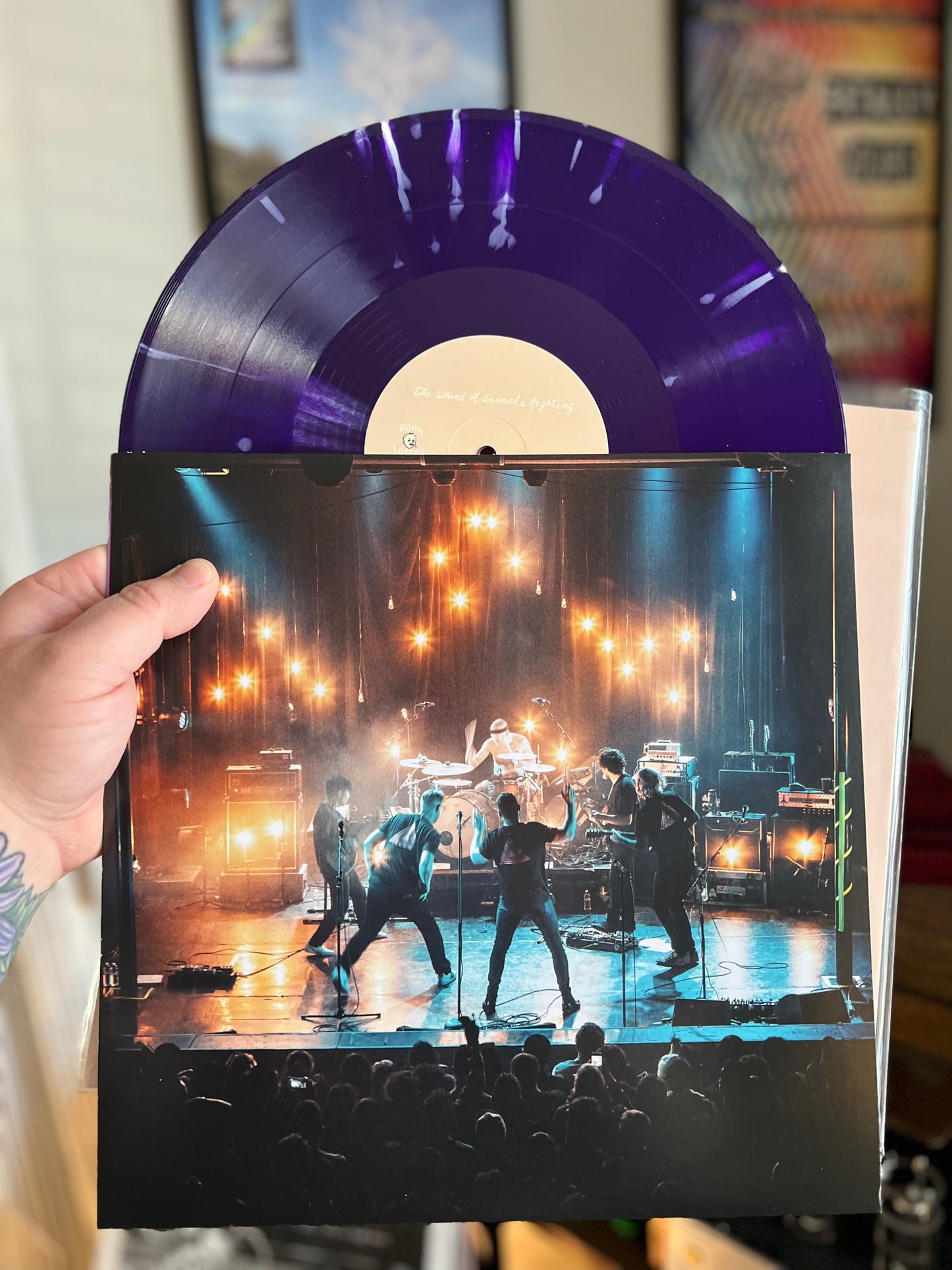 The Sound of Animals Fighting- Apeshit AUTOGRAPHED